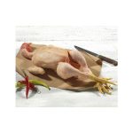 Κοκόρι Νωπό Ελληνικό